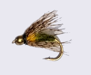 NYMPH Tungsten Caddis emerging Pupa - 1 dozen